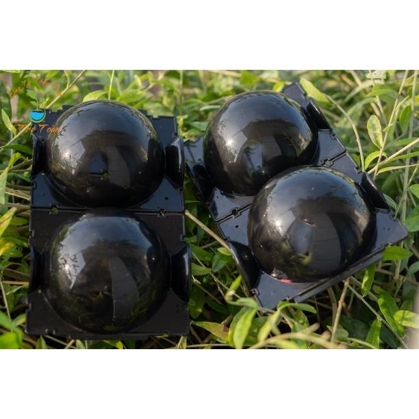Bầu nhựa chiết cành, ươm cây thông minh kích thước 12cm