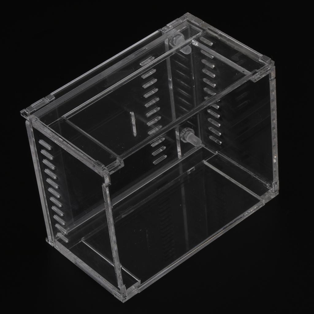 Acrylic Pet Reptiles Worm Breeding Box Clear Cases for Reptile