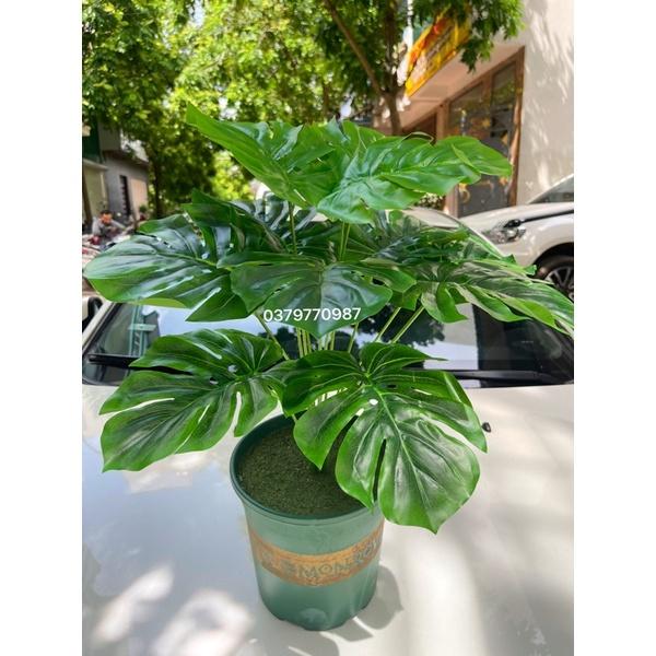 Cây giả - Cây lá xẻ 12 lá, cao 60cm kèm chậu