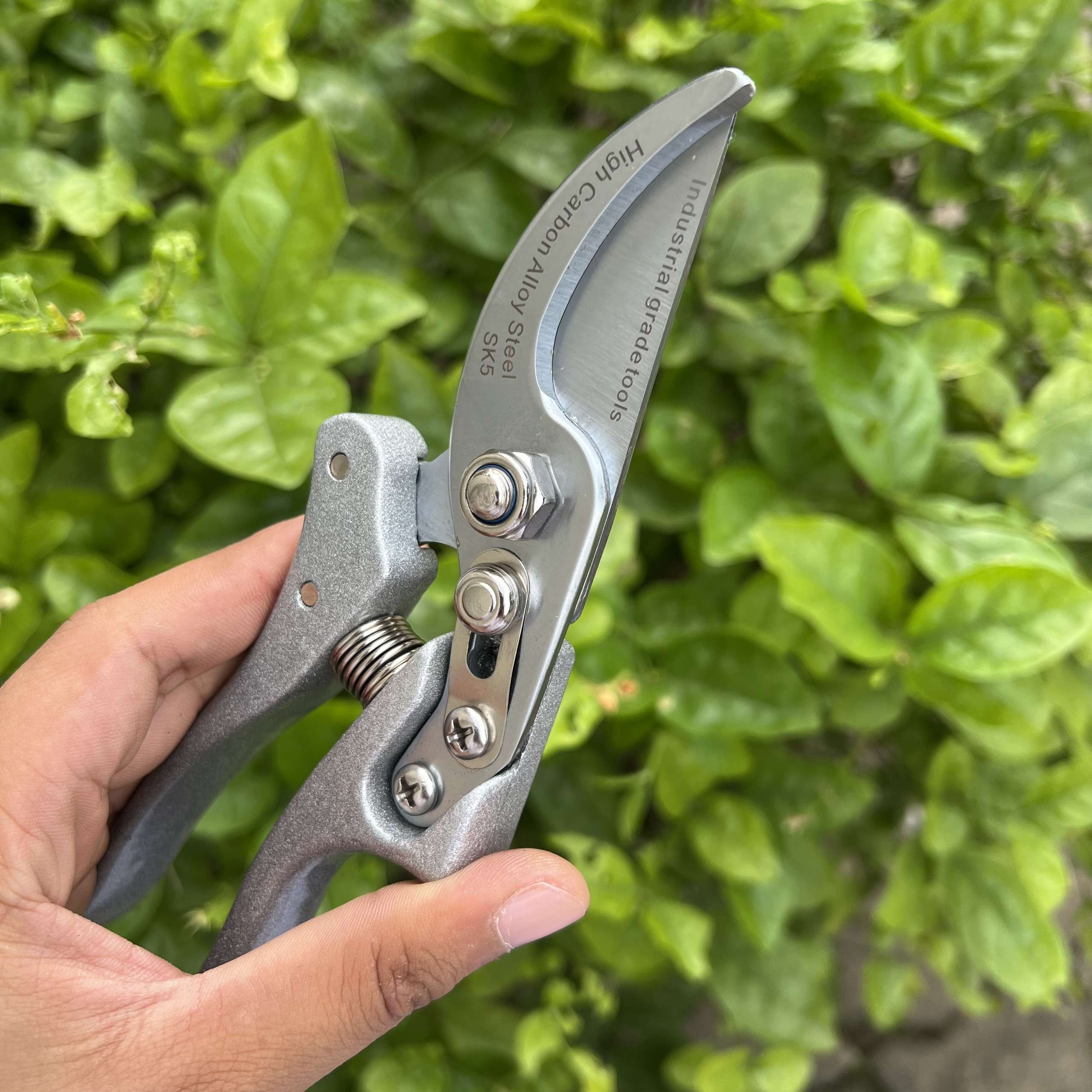 Combo Kéo Cắt Cành SK5 Nhật Bản + Cưa Lách Lưỡi Bén ,Dụng Cụ Bonsai, Đồ Dùng Làm Vườn