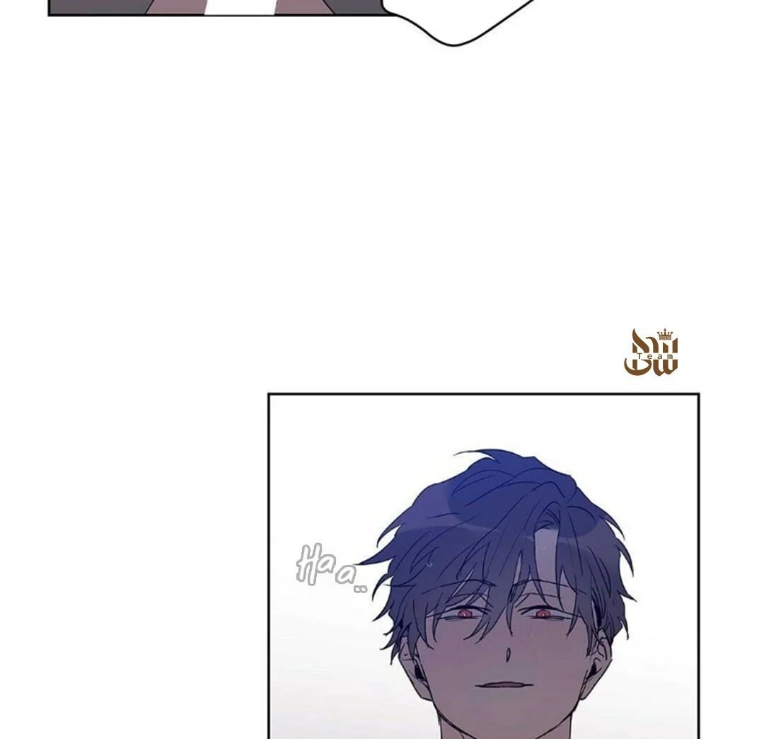 guide cấp b chapter 22 36