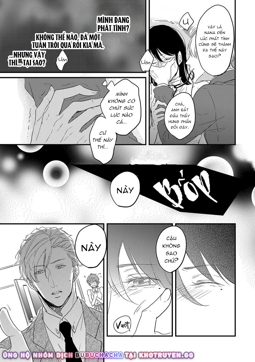 nụ hôn định mệnh chapter 1 21