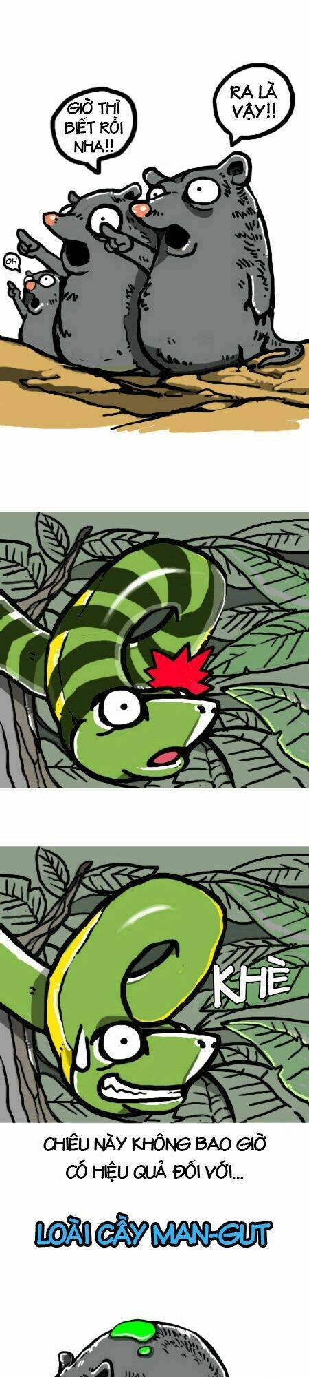 earth, human, and animal chapter 4 11