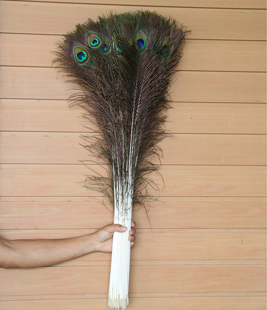 Combo 10 lông công tự nhiên dài 80cm