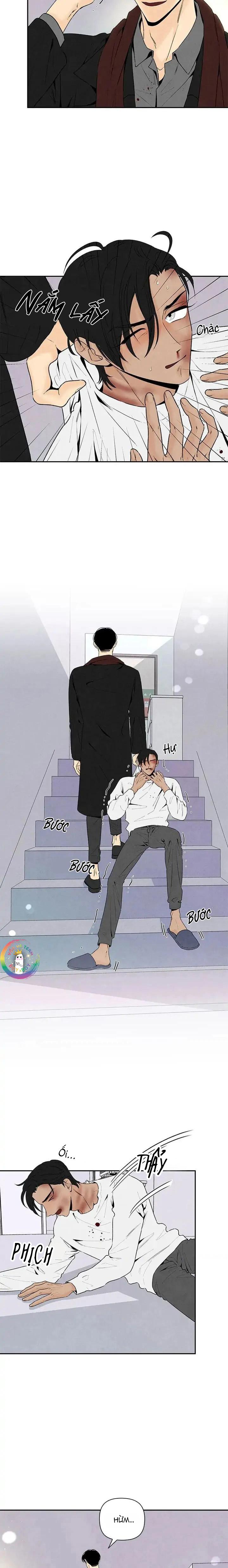 bona sort chapter 55 2