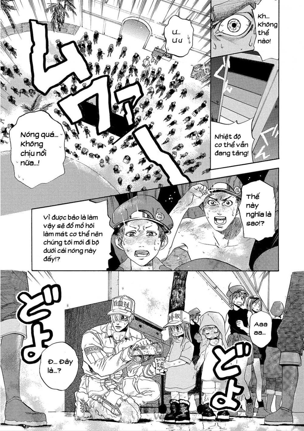 hataraku saibou! chapter 6 8