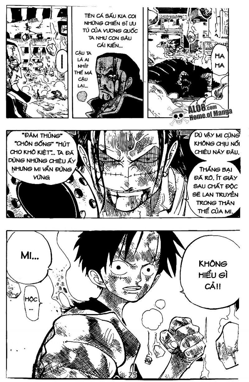 đảo hải tặc - one piece chapter 205 18