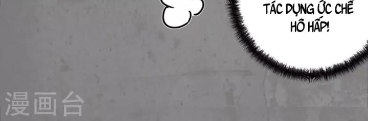 Tạng Phong Hành chapter 183 46