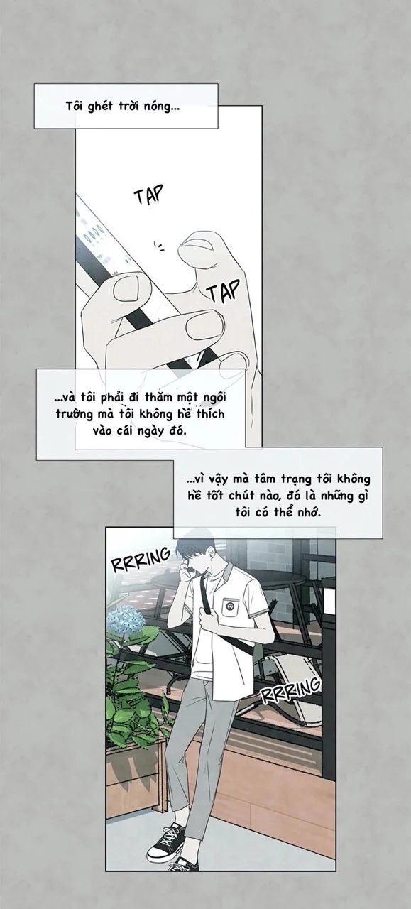 summer solstice point chapter 20 9