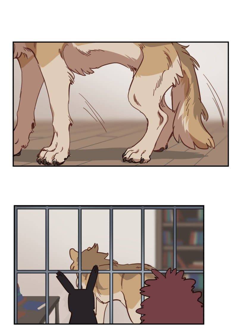 lumine - cội nguồn ánh sáng chapter 80 18