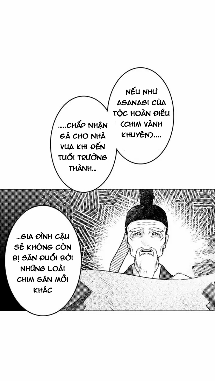 điểu thượng minh hoa chapter 1.1 8