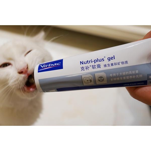 Gel dinh dưỡng cho chó mèo Nutri-plus. Gel Dinh Dưỡng Virbac Megaderm, bồi bổ sức khỏe & mượt lông giảm ngứa.