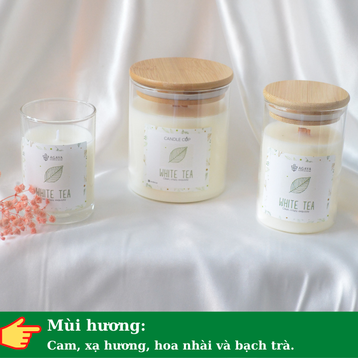 Nến thơm trong lành và thanh mát AGAYA Candle Cup hương cam,xạ hương,hoa nhài,bạch trà - Mùi WHITE TEA