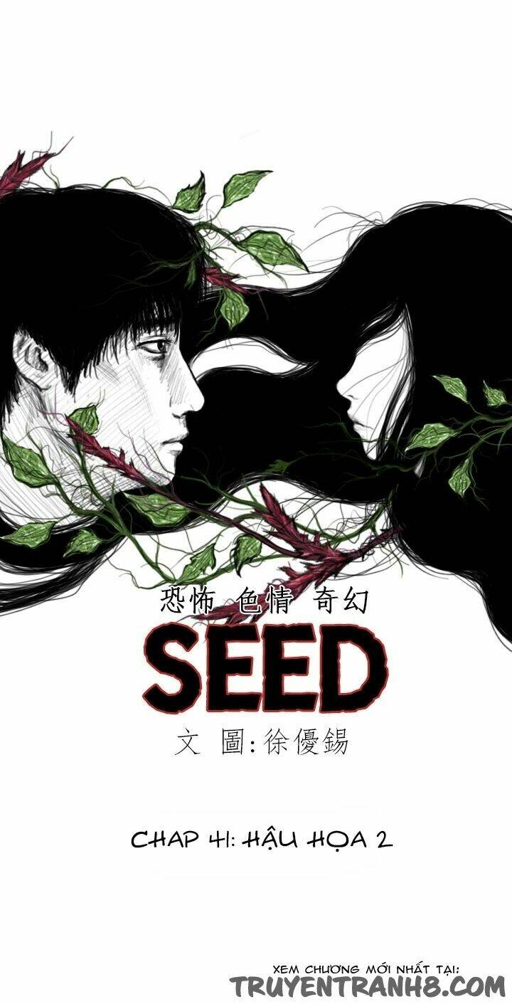 hạt giống mỹ nhân chapter 41 2
