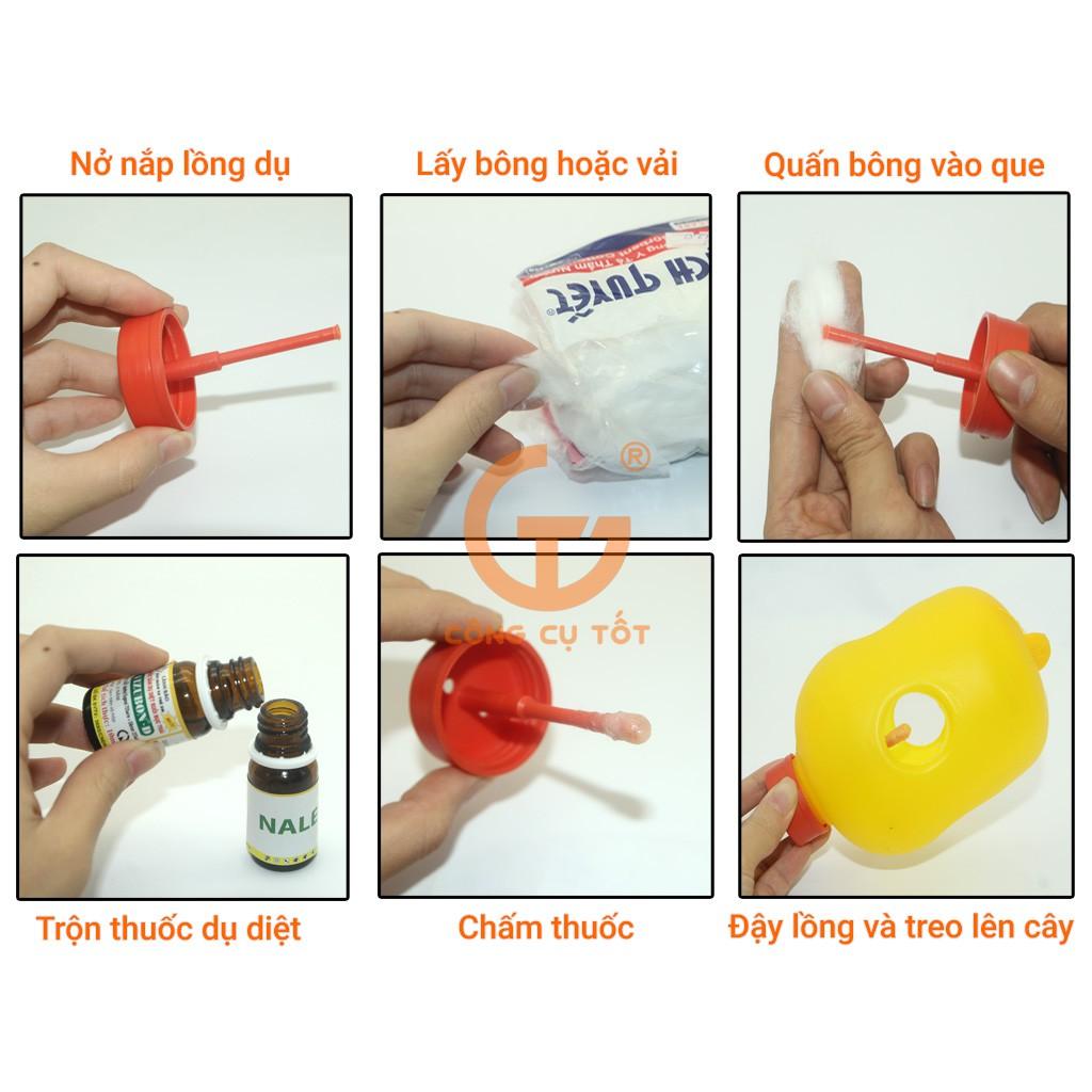 Bẫy ruồi vàng đục trái, đốt lá làm thối quả