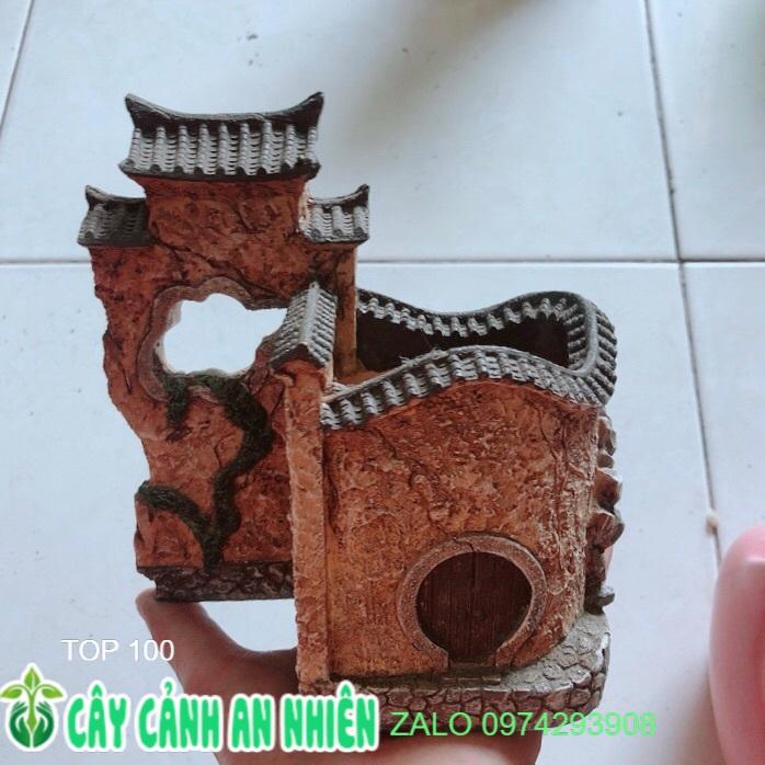 Chậu Trồng Cây