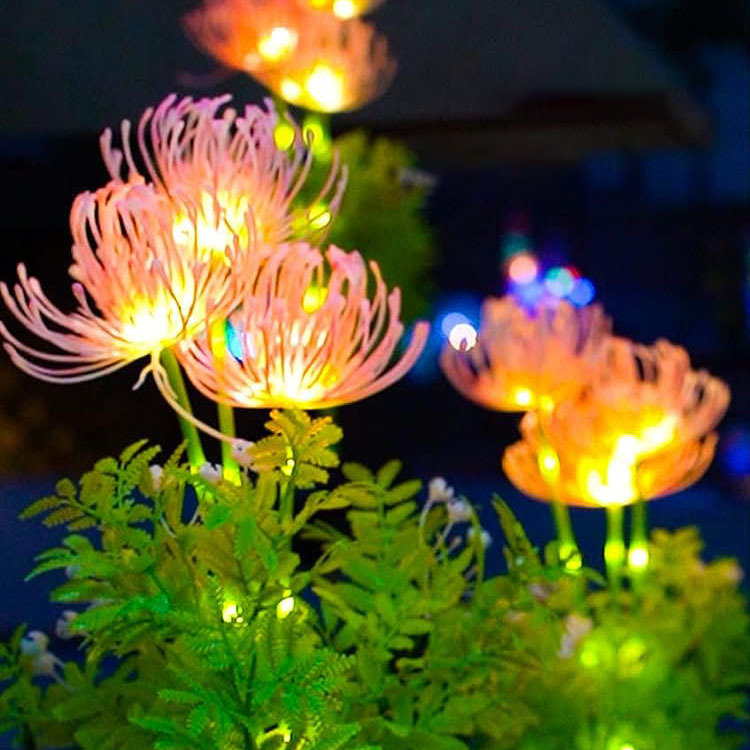 Đèn Trang Trí Năng Lượng Mặt Trời Hình Hoa Bỉ Ngạn, Sử Dụng Liên Tục 8-12 tiếng - DA3022