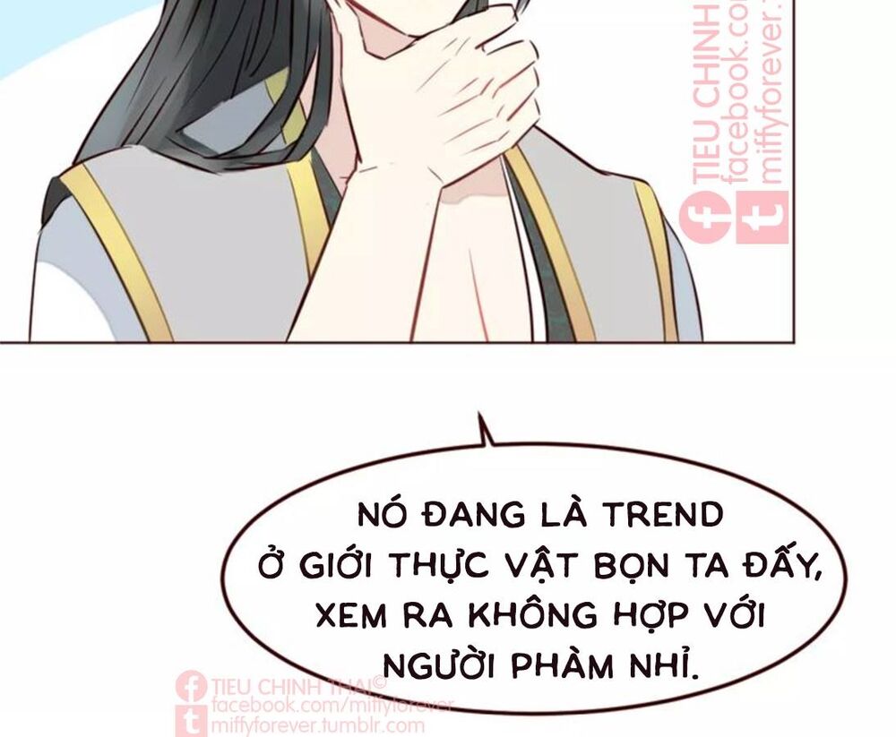 tiên thảo diệu kỳ chapter 10 53