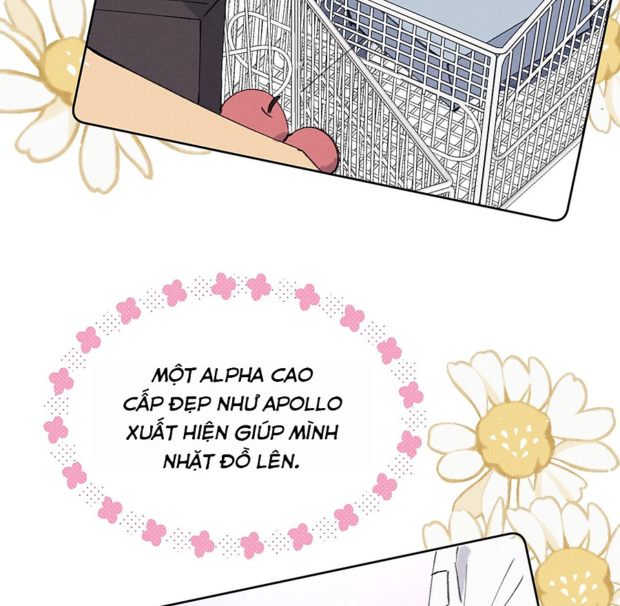 nhật ký thất tình của nhung tiên sinh chapter 35.1 65