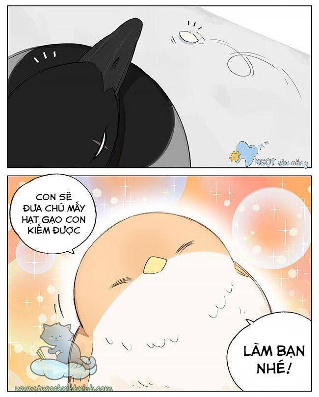 chim sẻ gọi ngỗng trời chapter 1 2