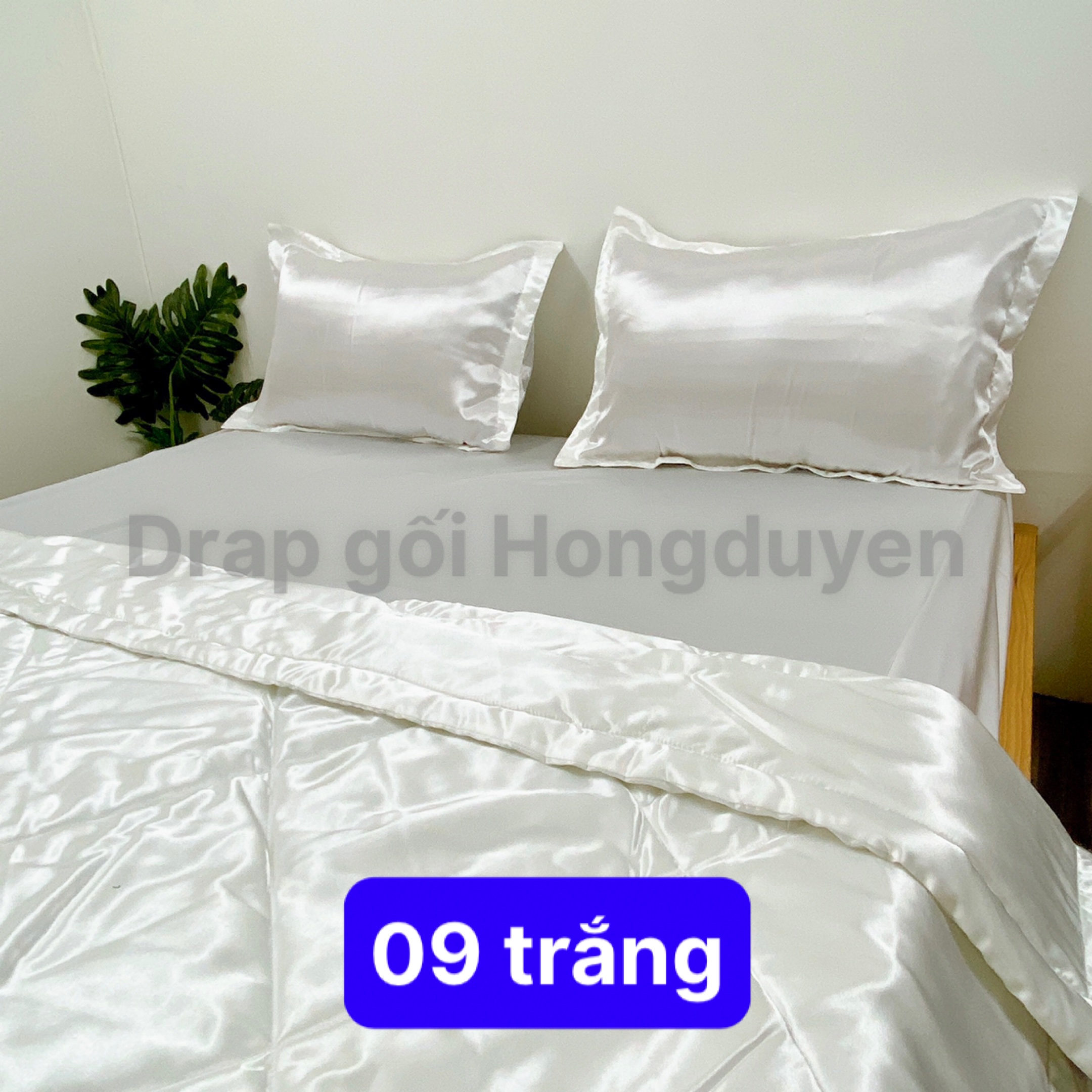 Bộ vỏ gối-ga phi bóng KO MỀN/CHĂN (chân nệm dưới 15cm) 1m6/1m8 trơn trắng 09. Bộ drap phi bóng 1 màu. Bộ grap phi bóng. Bộ drap phi lụa. Bộ grap phi lụa. Bộ ga phi lụa. Ga giường - drap giường - grap giường - ra giường.