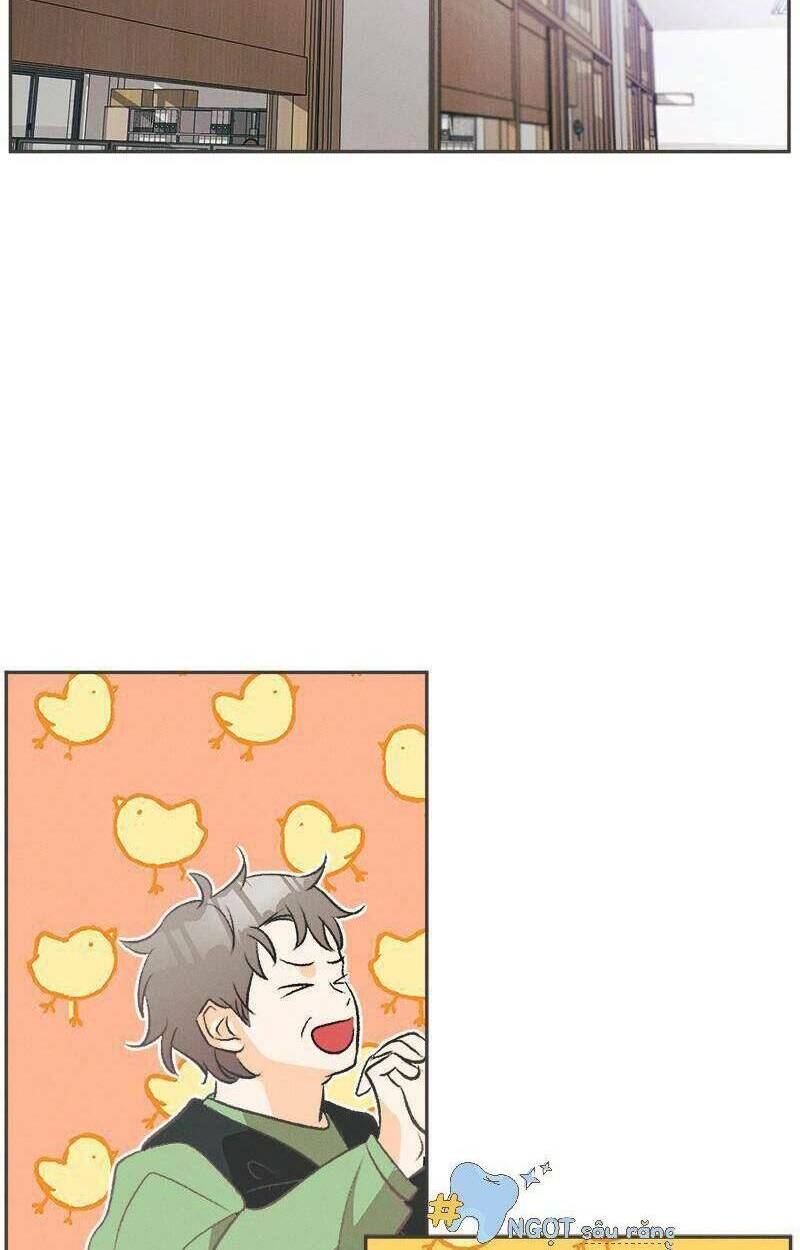giấc mộng đêm hè chapter 1.1 38