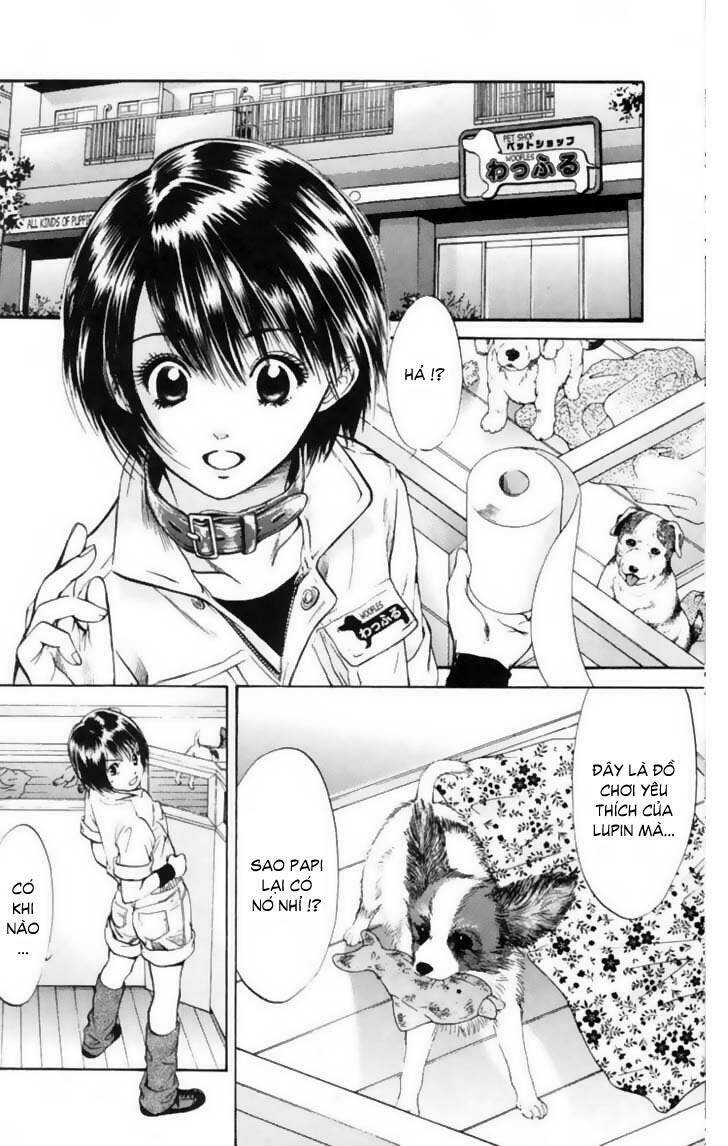 cô nàng yêu chó chapter 12 12