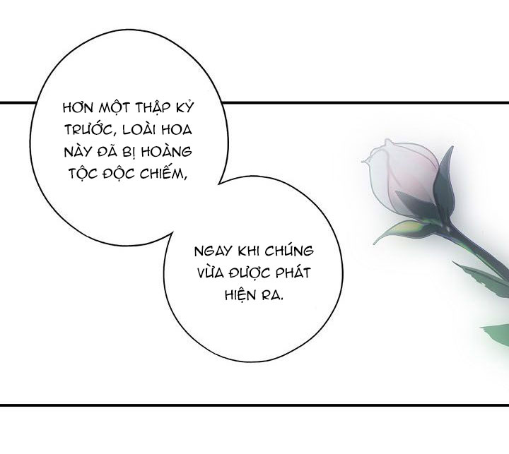 cổ tích về người mẹ kế chapter 46 57