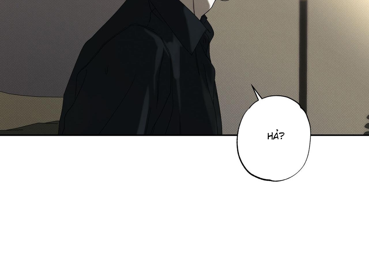 chàng giao pizza và gold palace chapter 45 119