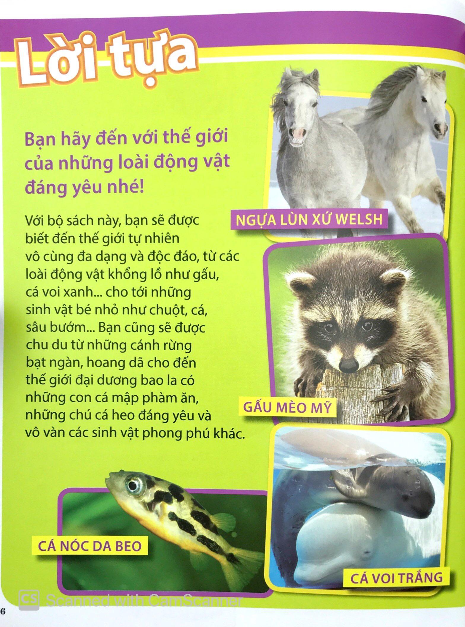 125 Loài Động Vật Đáng Yêu