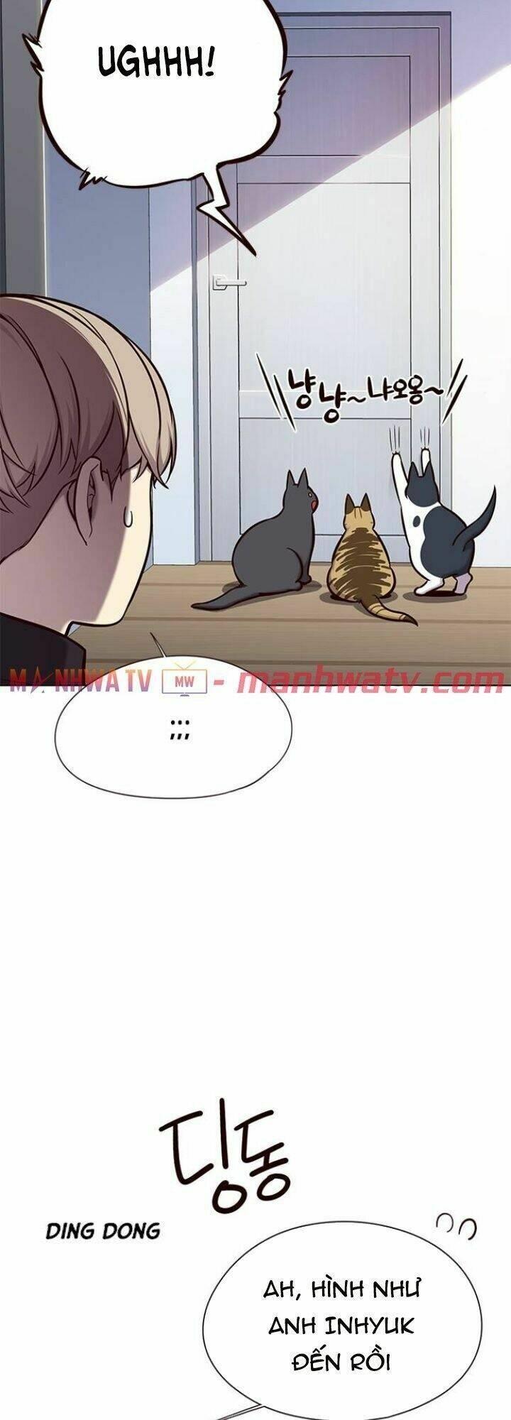 biến thân thành mèo chapter 119 9