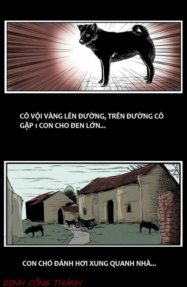 thầy súng kể chuyện ma chapter 8.5 1