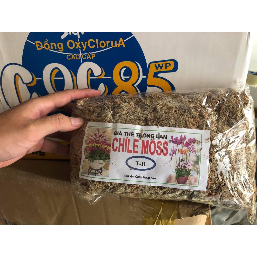 GÍA THỂ TRỒNG LAN CHILEMOSS.
