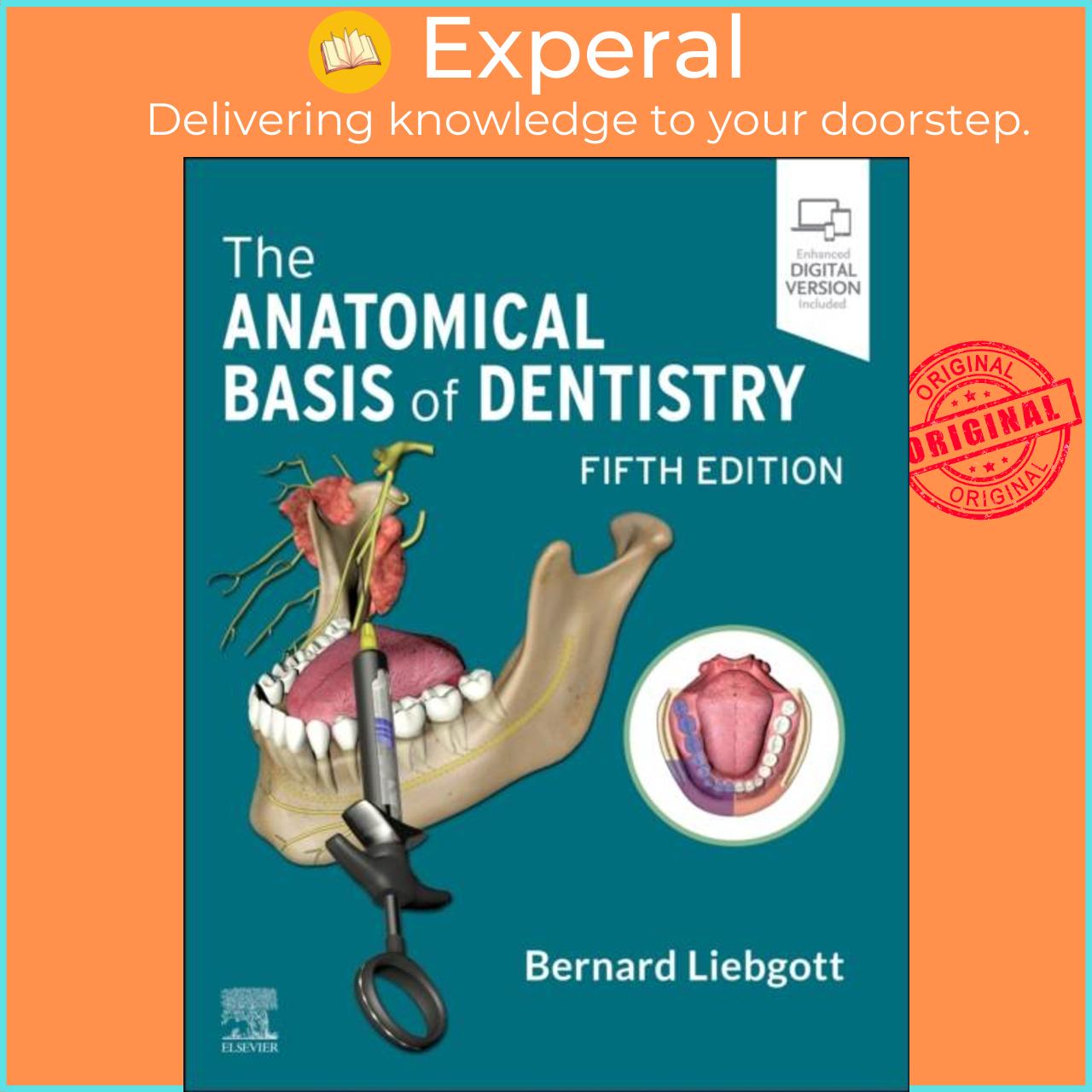 Sách - The Anatomical Basis of Dentistry by Bernard Liebgott (UK edition, paperback)
