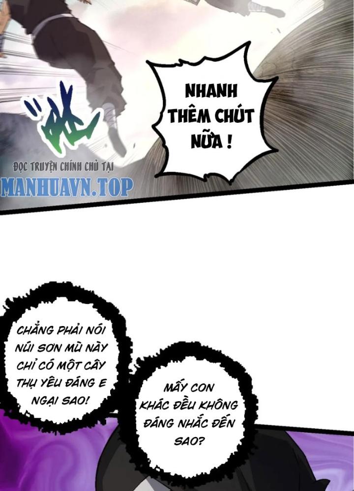 từ cây cổ thụ bắt đầu tiến hóa chapter 90 108