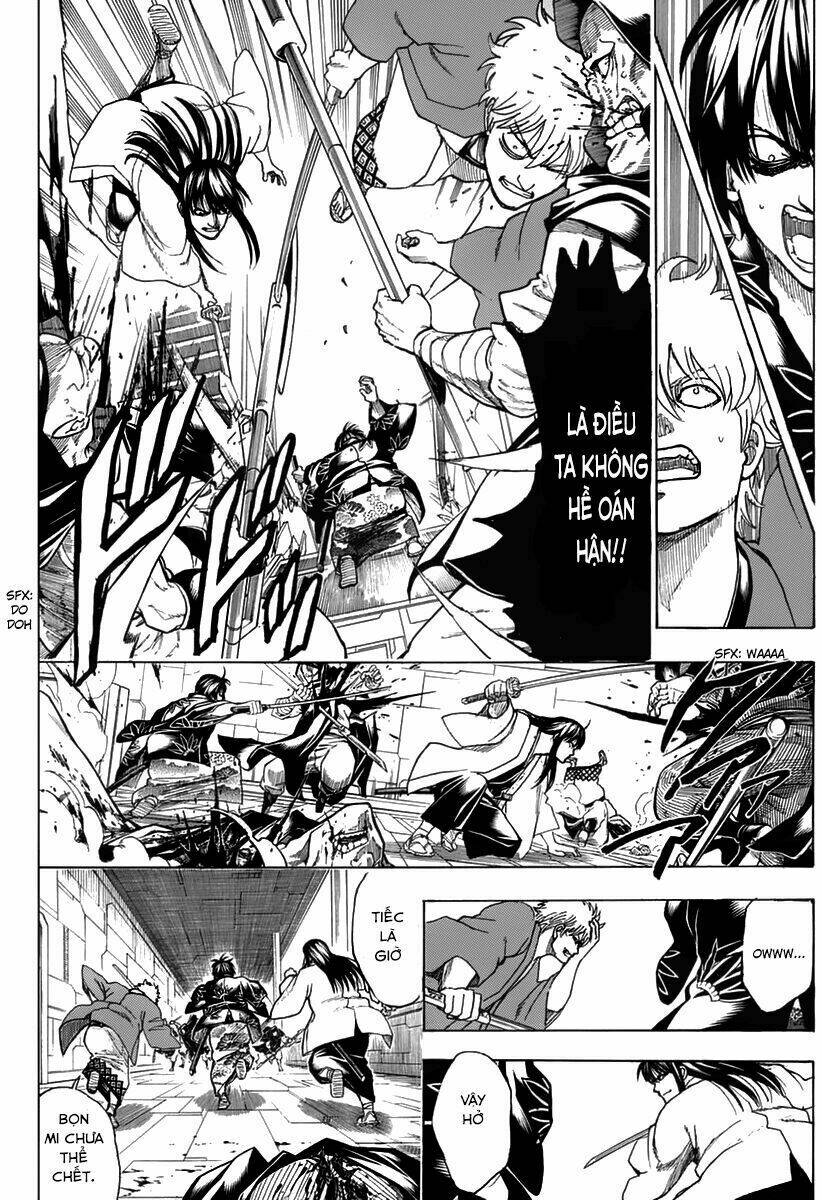 gintama - linh hồn bạc chapter 699 19