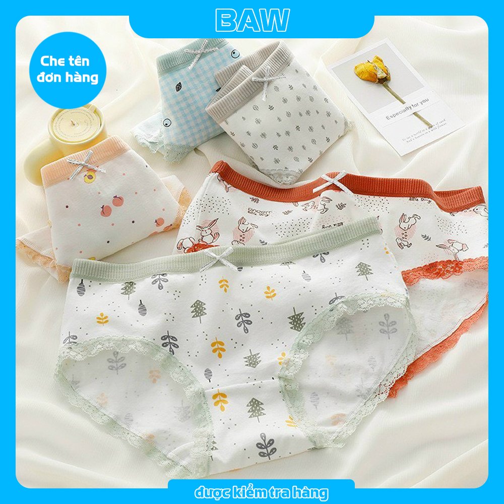 Quần Lót Nữ, Bộ 5 Quần Lót Nữ Cotton Viền Ren In Họa Tiết Dễ Thương Lót May Chống Viêm, Quần Chip Nữ Kháng Khuẩn Cao Cấp Thương Hiệu BAW QM3