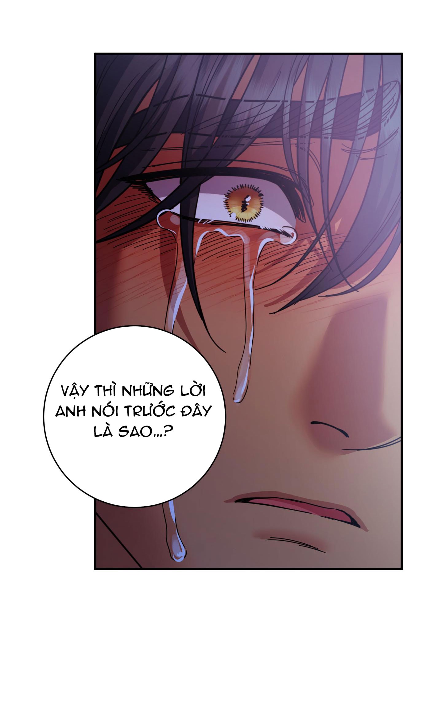 [18+] một lòng một dạ chapter 97.2 26