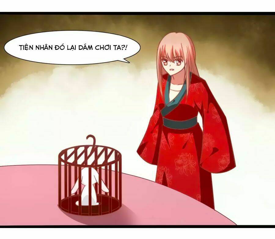 thỏ yêu tiểu vương phi chapter 41 24