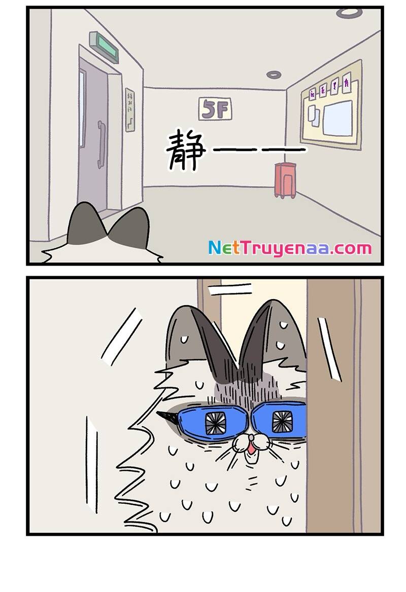 a mãn và mạch trà chapter 36.1 6