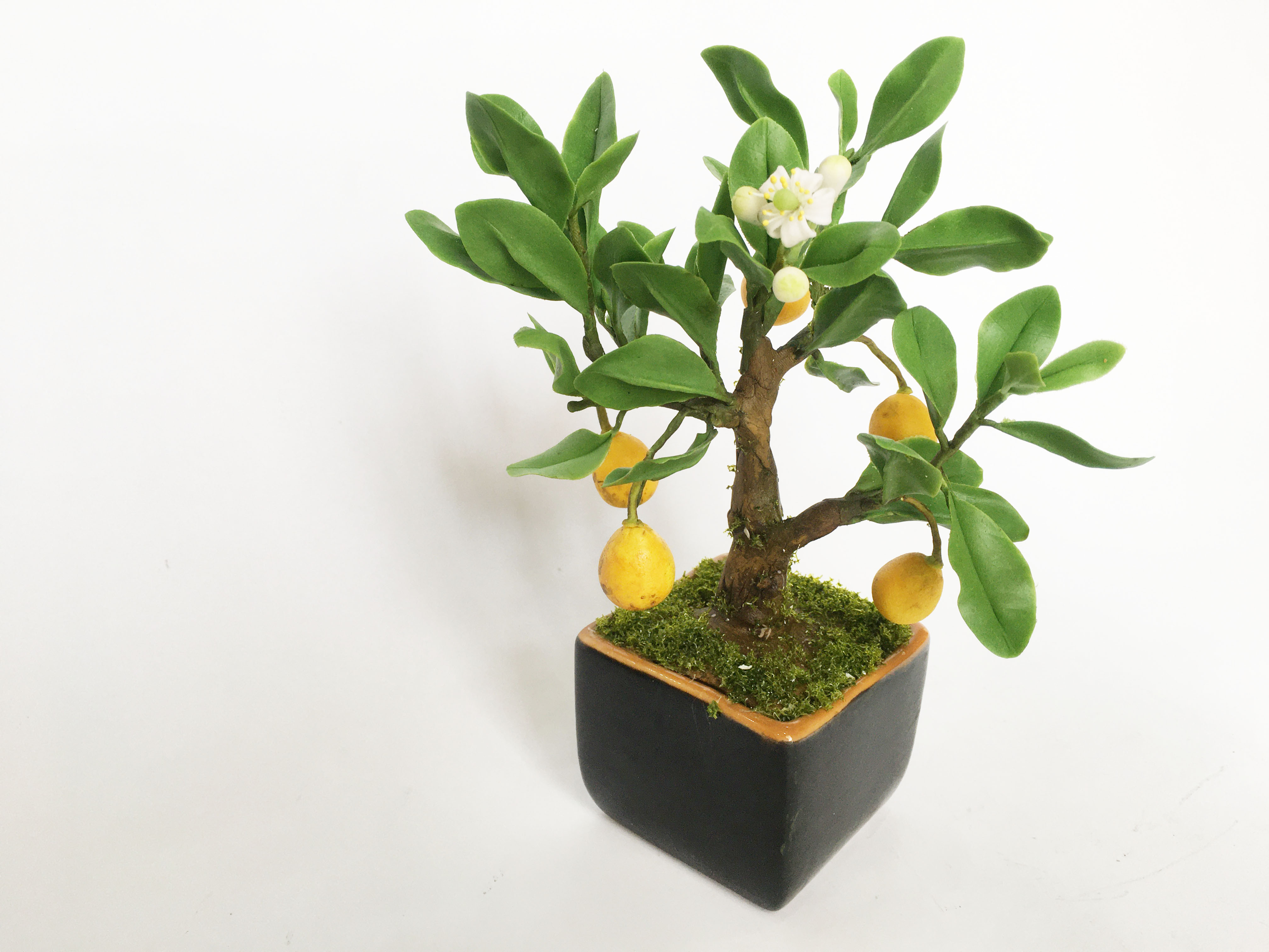 Chậu hoa đất sét mini- Bonsai bưởi - Quà tặng trang trí handmade (18x10x10cm)