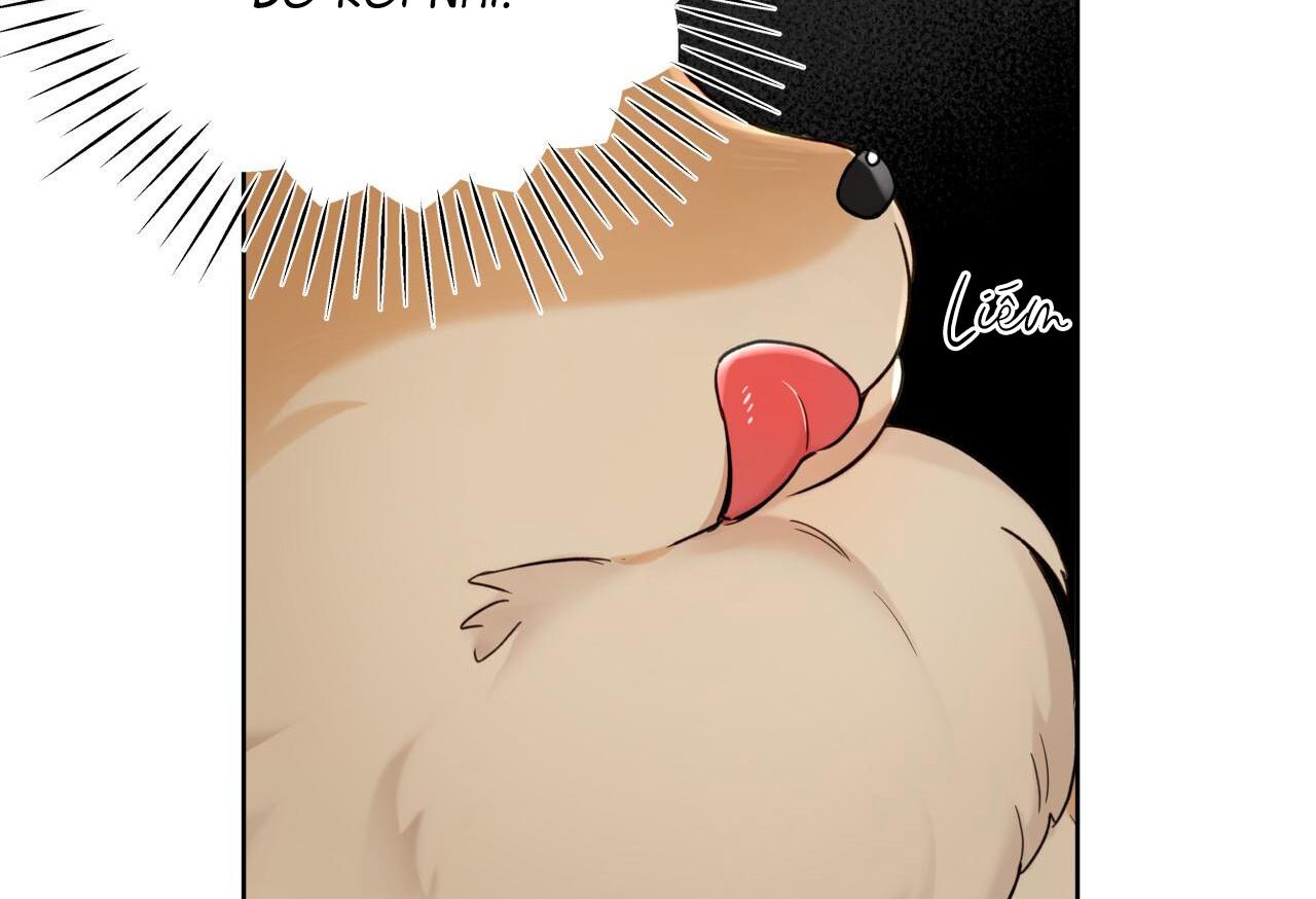 hiểm họa guiding chapter 7 27