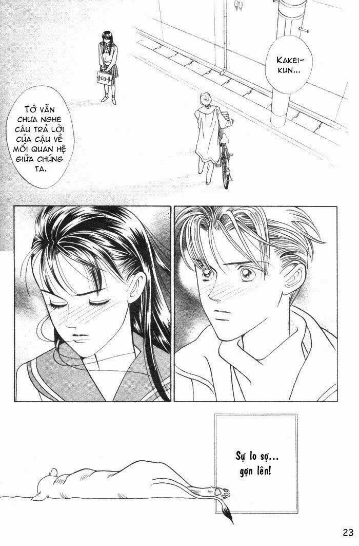 wild cats chapter 1 26