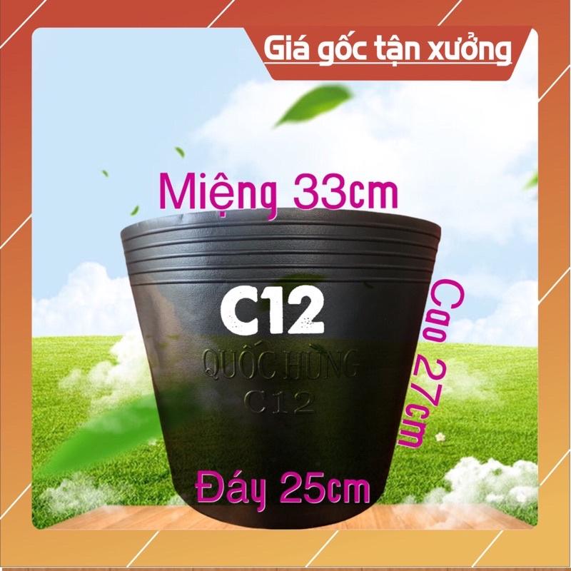 Chậu nhựa đen trồng cây C12