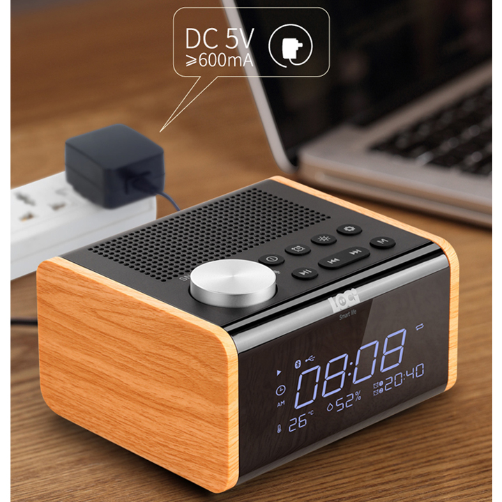 Loa Nghe Nhạc Bluetooth - Đài FM đa chức năng H100 - Hàng Chính Hãng