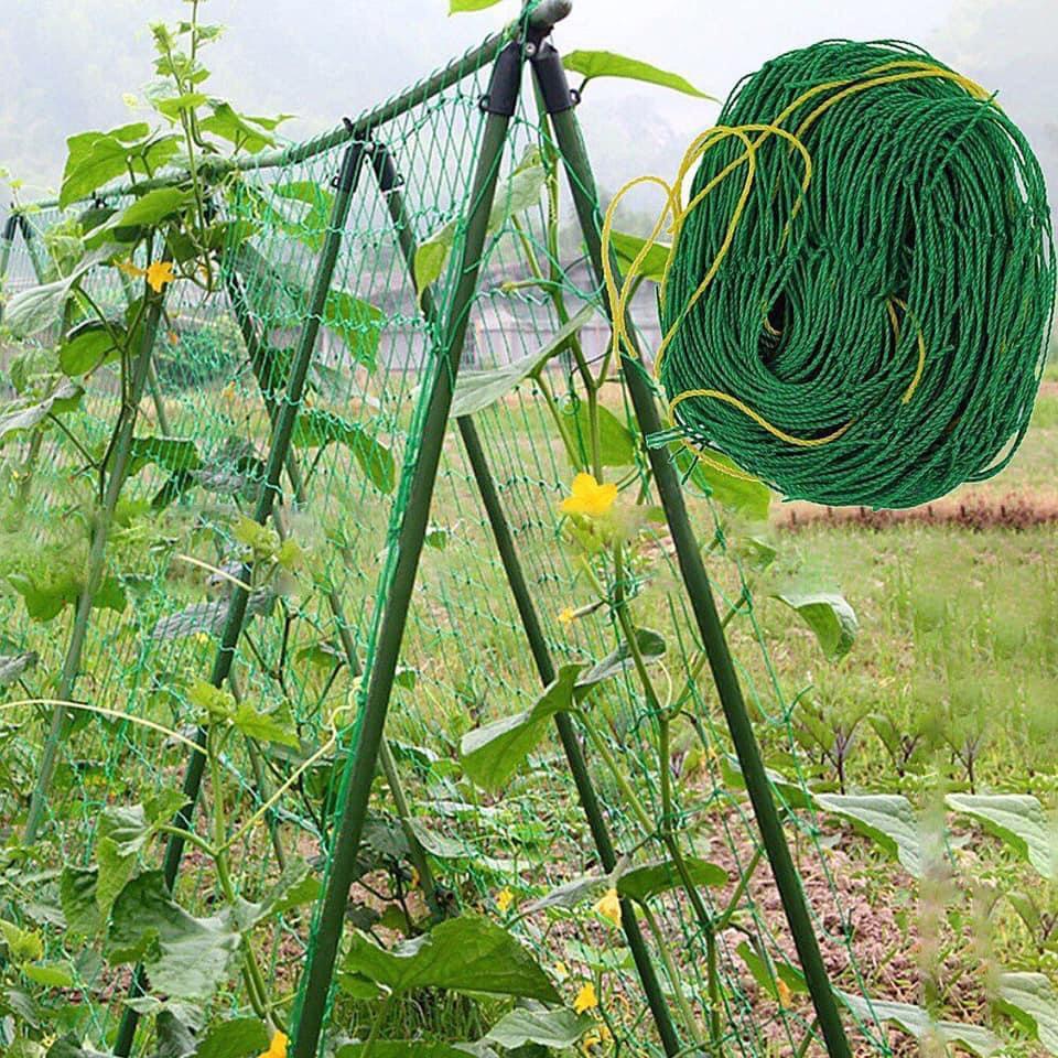 Luoi lam gian leo 0,9x1,8m