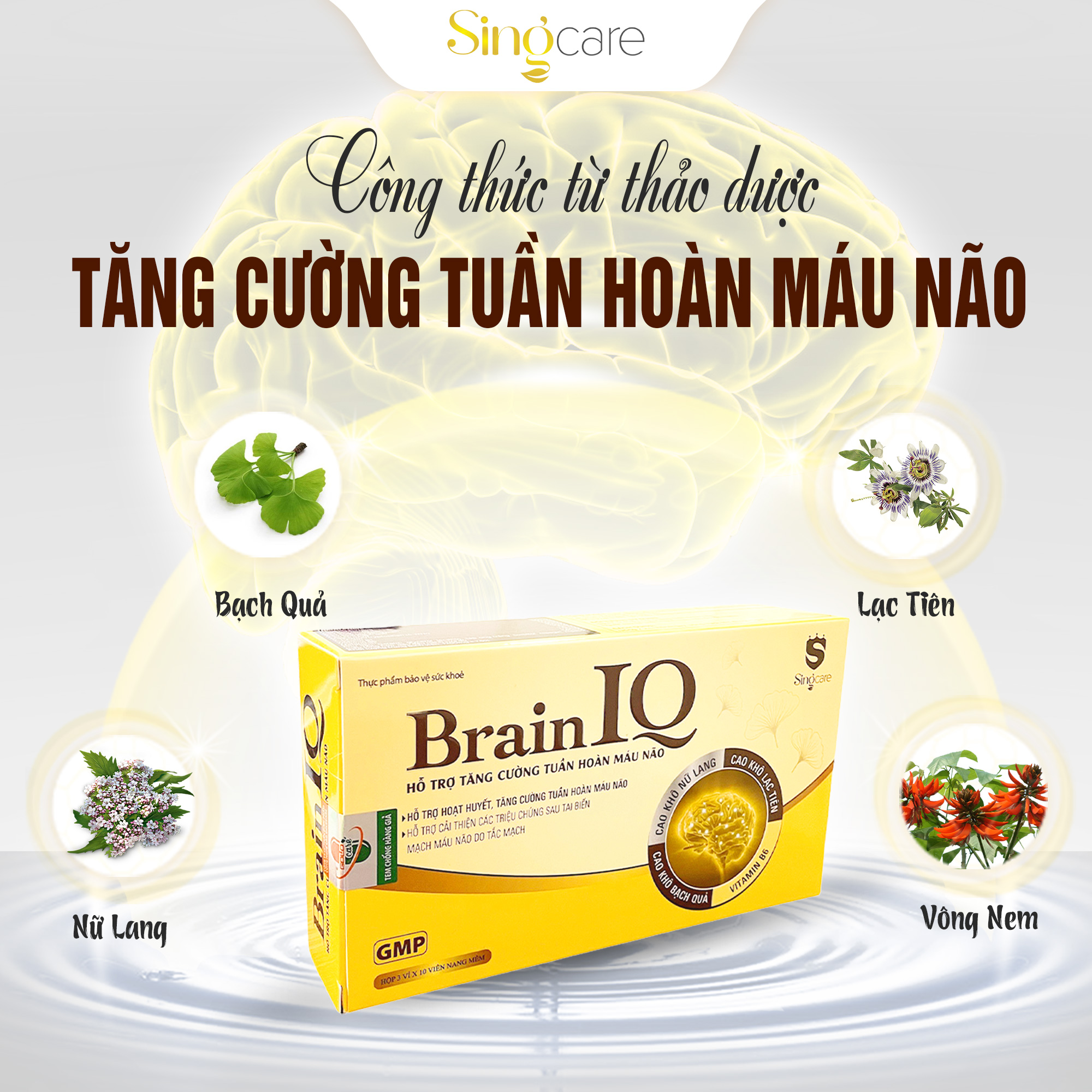 Viên Uống Bổ Não Brain IQ - Tăng Cường Tuần Hoàn Não, Ngủ Ngon, Cải Thiện Trí Nhớ ( Hộp 30 Viên)