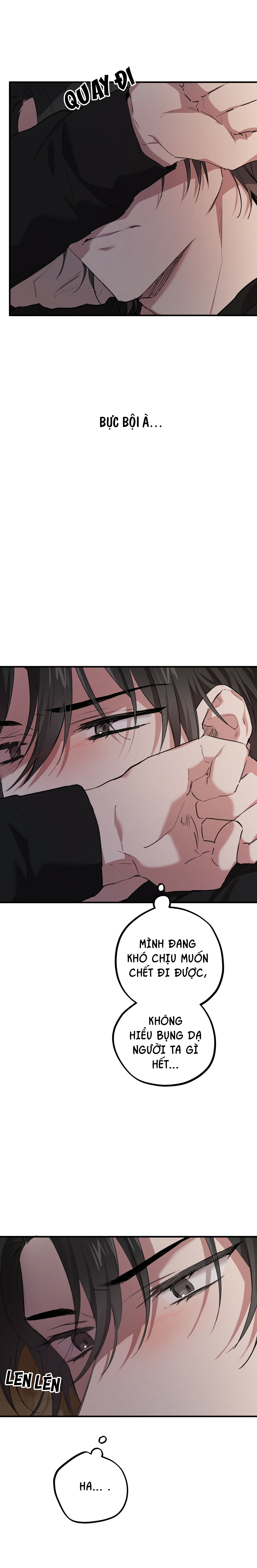 những chú thỏ của hapypy chapter 14 26