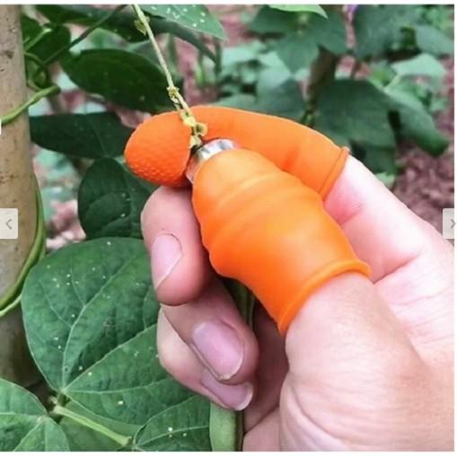 Bộ Móng Nhặt Rau Củ Quả Chống Bẩn Móng Tay, Ngón Cái Bấm Cắt Rau Củ - Nạo Gọt Tiện Lợi - Giadunghanoi39