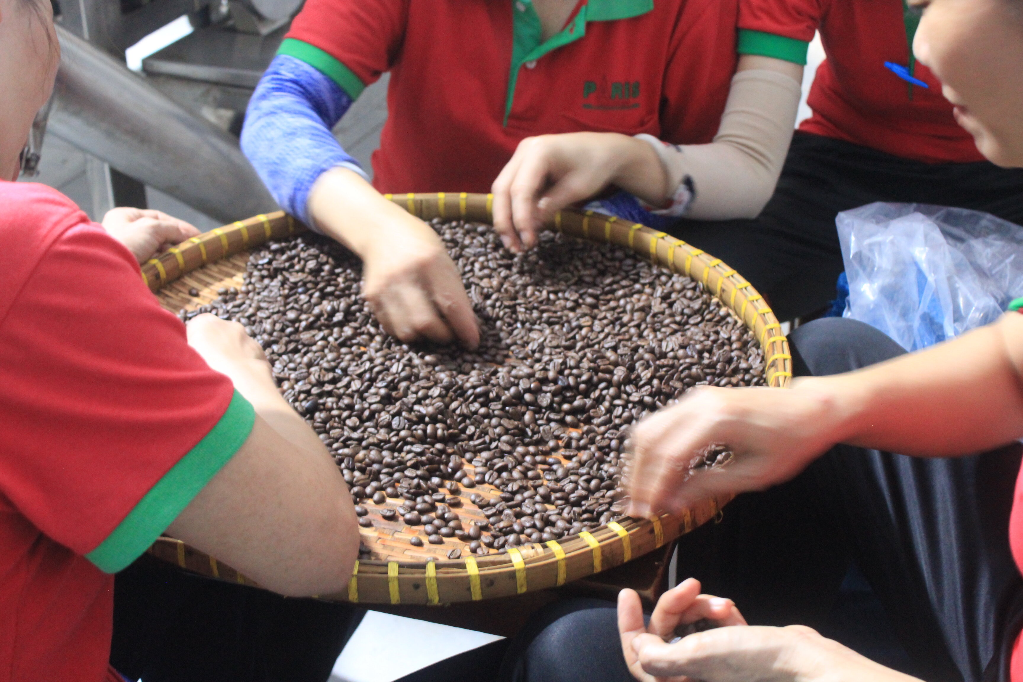 Cà phê bột Đích thực 100% Arabica - Đắng nhẹ, chua thanh đẳng cấp